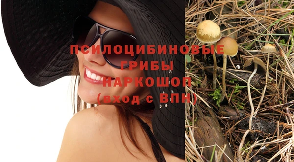 сатива Верея
