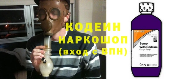 стаф Бородино