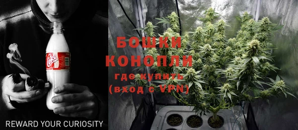 соль ск Бронницы