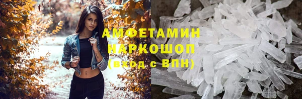 стаф Бородино