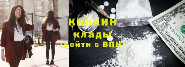 сатива Верея
