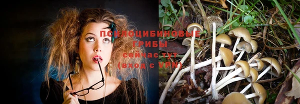 стаф Бородино