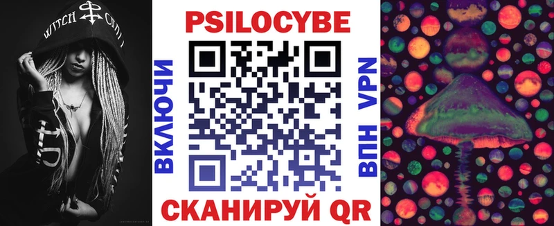 shop как зайти  где найти наркотики  Бородино  Галлюциногенные грибы мицелий 